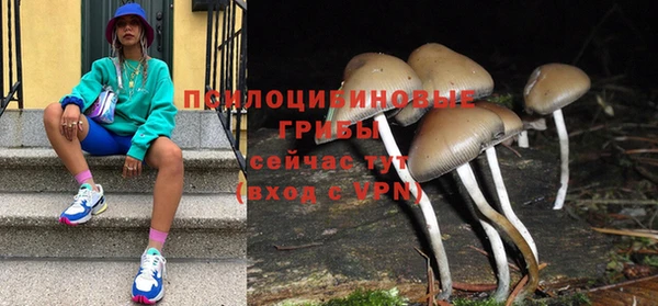 ALPHA PVP Богородск