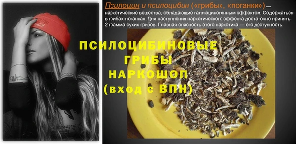 мдпв Богородицк