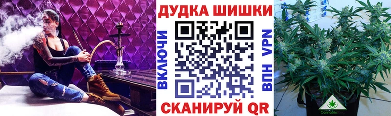 как найти закладки  Болохово  Конопля OG Kush 